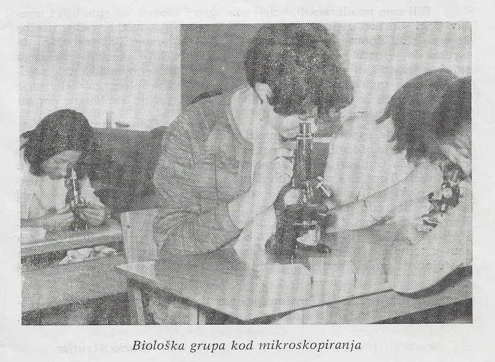 Biološka grupa kod mikroskopiranja